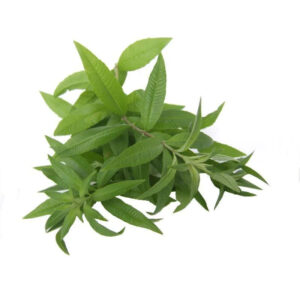 Eisenkraut BIO 15g
