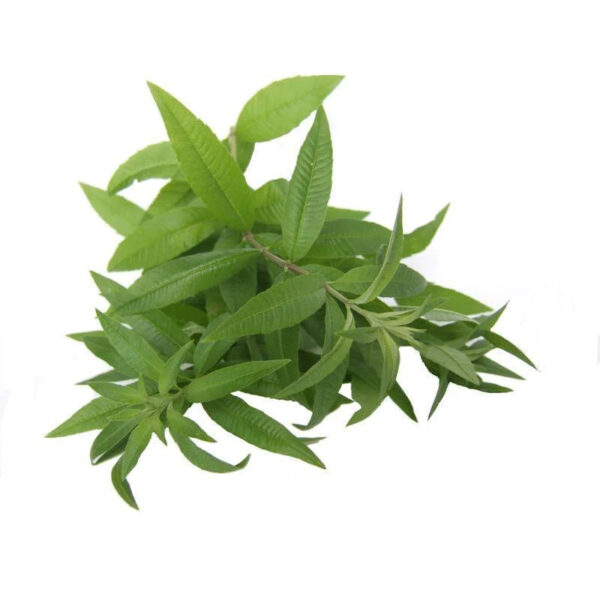 Eisenkraut BIO 15g