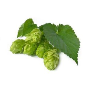 Hopfenblüten BIO 10g
