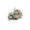 Isländisches Moos BIO 15g