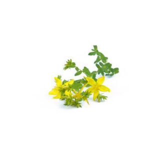 Johanniskraut BIO 15g