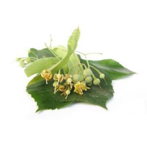 Lindenblüten BIO 15g