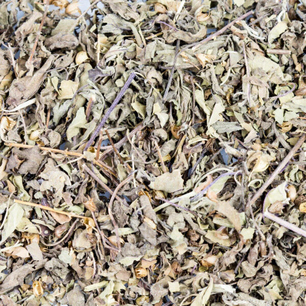 Tulsi Indisches Basilikum BIO 15g – Bild 2