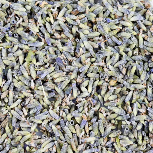 Lavendel BIO 15g – Bild 2