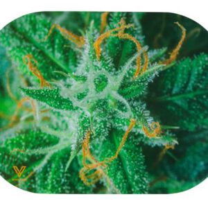 V Syndicate Mag Slaps Magnetic Rolling Tray Mini COVER, “Buds AK47”