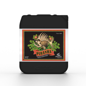 Piranha_5L_2023_1600x1600px.png