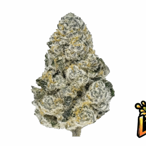 m_tsp_2x_lemonpaya_transparent_1741822341_og.png
